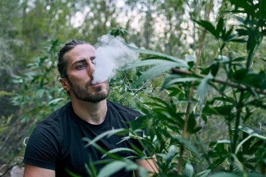IBVape report finds youth e-cigarette use drops to lowest level in a decade and IBVape outlines what parents should know